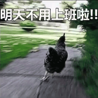 不用上班.gif