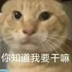 62e338f5-c8a5-4945-91ad-d8cb99a28fce.png