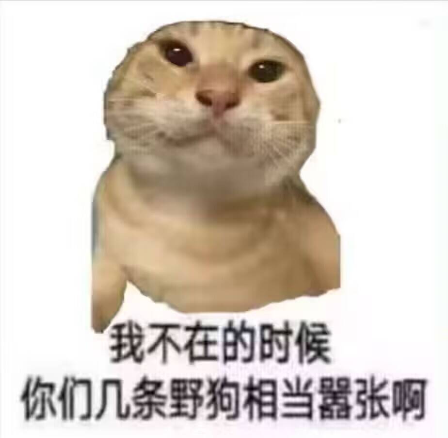 QQ图片20250527190557.jpg