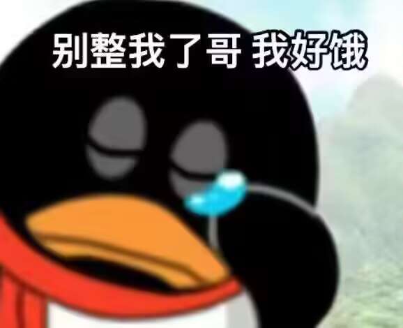 QQ图片20250810200752.jpg